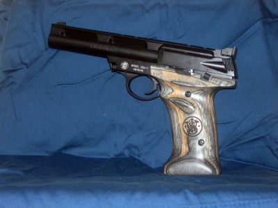 Smith Wesson 22A