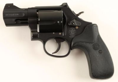 Smith Wesson Model 396