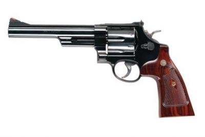 Smith Wesson Model 29