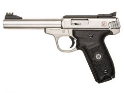 Smith Wesson 22A